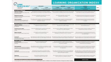 Learning Organization Index©